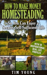 how to make money homesteading