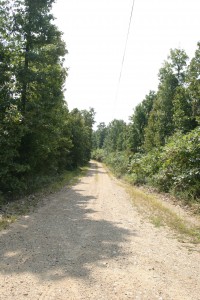 Road 2009